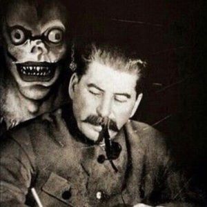 Meet your Posher, Cole